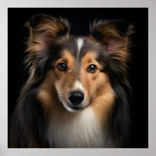 Póster Shetland Sheepdog