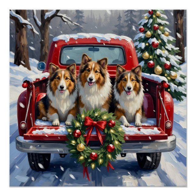 Póster Shetland Sheepdog Christmas Red Truck Holiday (Anverso)