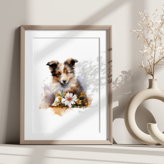 Póster Shetland Sheepdog Puppy Mascota Flor acuática (Subido por el creador)