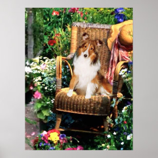 Póster Shetland Sheepdog Sheltie Art Gifts