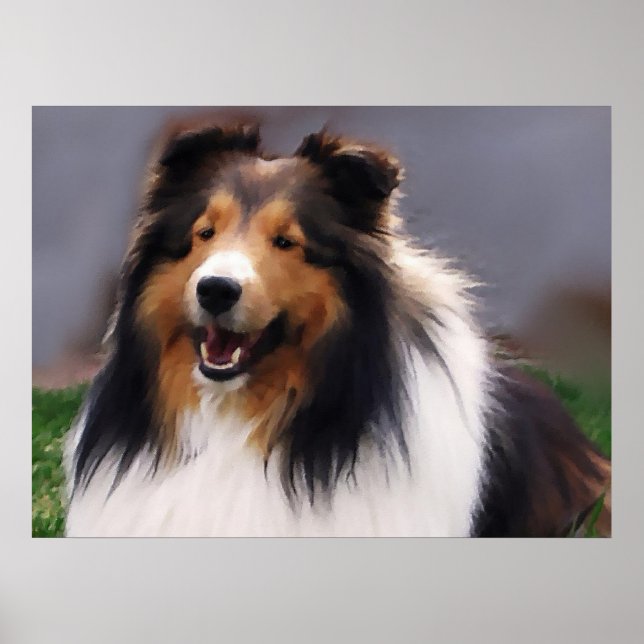 Póster Shetland Sheepdog Sheltie Art Gifts (Frente)