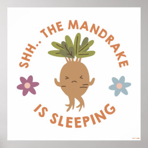 Póster Shh. El Mandrake duerme