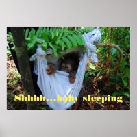 Shhh Bebé Durmiendo