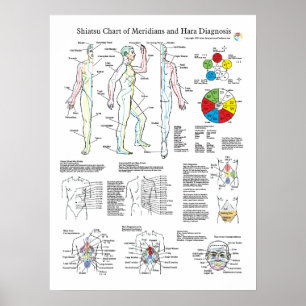 Póster Shiatsu Acupuncture Meridians and Hara Diagnosis