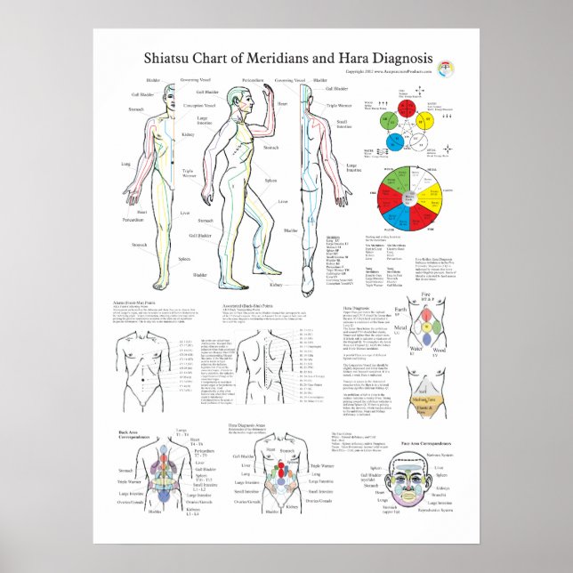 Póster Shiatsu Acupuncture Meridians and Hara Diagnosis (Frente)