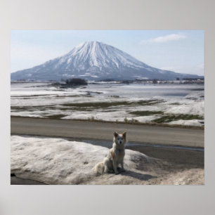 Póster Shiba Inu