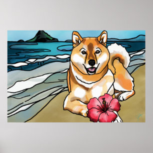 Póster Shiba Inu en el Gorra de Chinaman, Hawaii