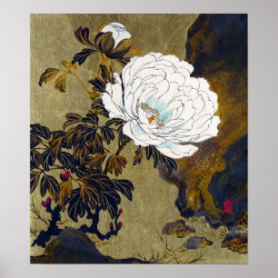 Póster Shibata Zeshin Peonies