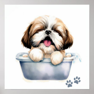 Póster Shih Tzu Dog
