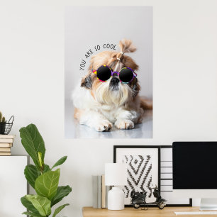 Póster Shih Tzu Eres tan guapo de Guay.