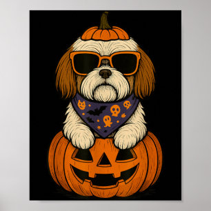 Póster Shih Tzu espeluznante de calabaza de Halloween Ama