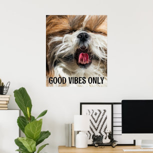 Póster Shih tzu lengua graciosa de los videos texto perso