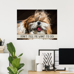 Póster Shih tzu lengua graciosa No me digas qué hacer