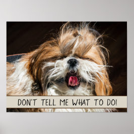 Póster Shih tzu lengua graciosa No me digas qué hacer
