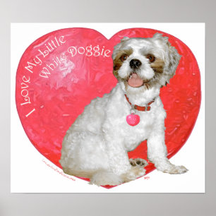 Póster Shih Tzu / Lhasa Apso Día de San Valentín