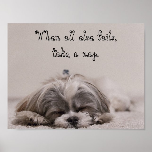 Póster Shih Tzu Nap (Frente)
