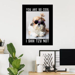 Póster Shih Tzu No es divertido lindo perro genial Texto 