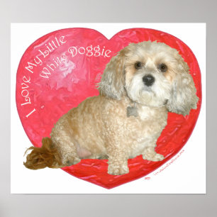 Póster Shih Tzu / Poodle Mix Día de San Valentín