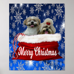 Póster Shih tzu Poster Christmas