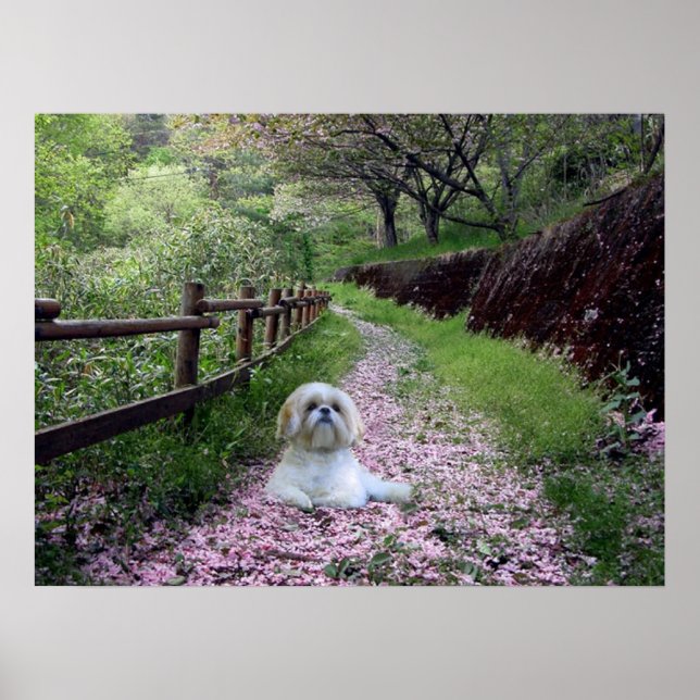 Póster Shih Tzu Poster Flores Púrpura (Frente)