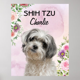 Póster Shih Tzu Poster personalizado
