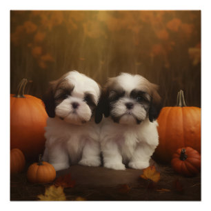 Póster Shih Tzu Puppy Calabaza deslumbrante de otoño