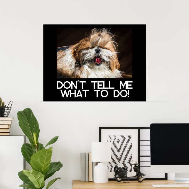 Póster Shih tzu tongue funny Don't tell me what to do (Oficina en casa)