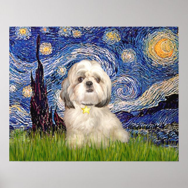 Póster Shih Tzu (Y) - Noche estrellada (Frente)
