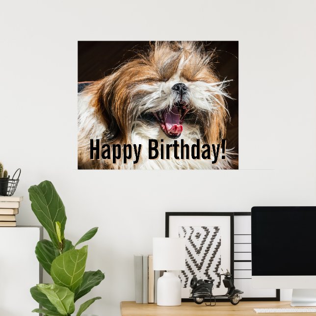 Póster Shih tzu yawning laughing funny Happy birthday  (Oficina en casa)