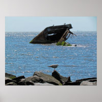 Shipwreck de Cape May