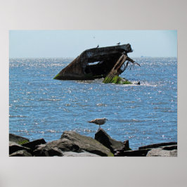Póster Shipwreck de Cape May