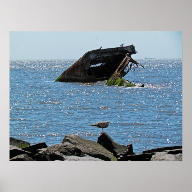 Póster Shipwreck de Cape May (Frente)