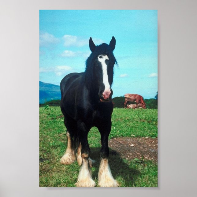 Póster Shire en pie (Frente)