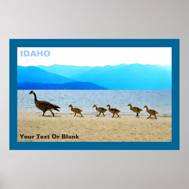 Póster Shore Patrol Canada Geese (Frente)