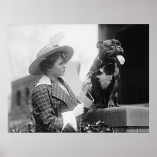 Póster Show de Perros de 1915