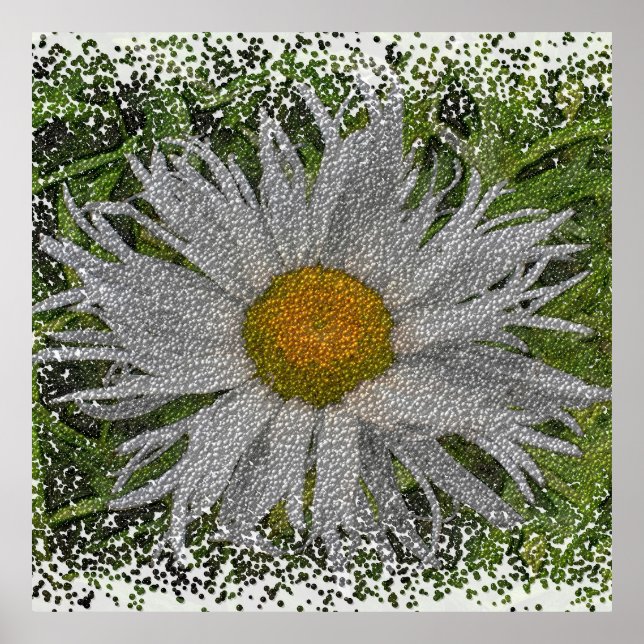 Póster Show Me A Daisy #1 (Frente)