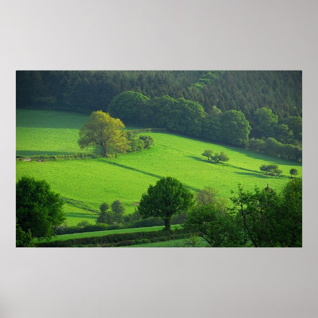 Póster Shropshire Hills (Frente)