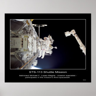 Póster Shuttle-sts113-307-009