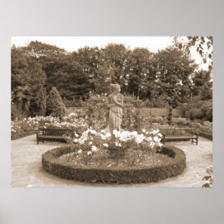 Póster Shy Chica en los Rosas