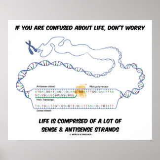 Póster Si estás confundido con la vida, no te preocupes