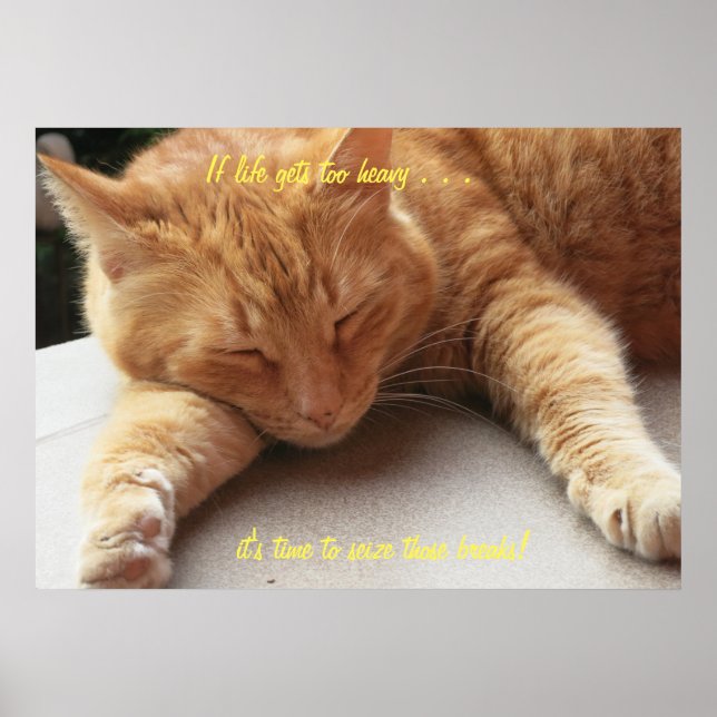 Póster Si la vida se pone demasiado pesada, Poster Cat (Frente)