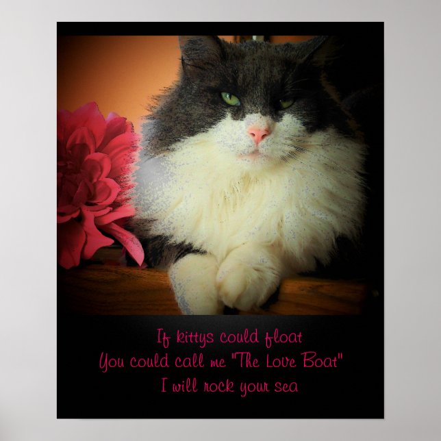 Póster Si los gatos pudieran flotar (Frente)