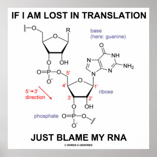 Póster Si Me Pierde La Traducción, Culpen A Mi RNA