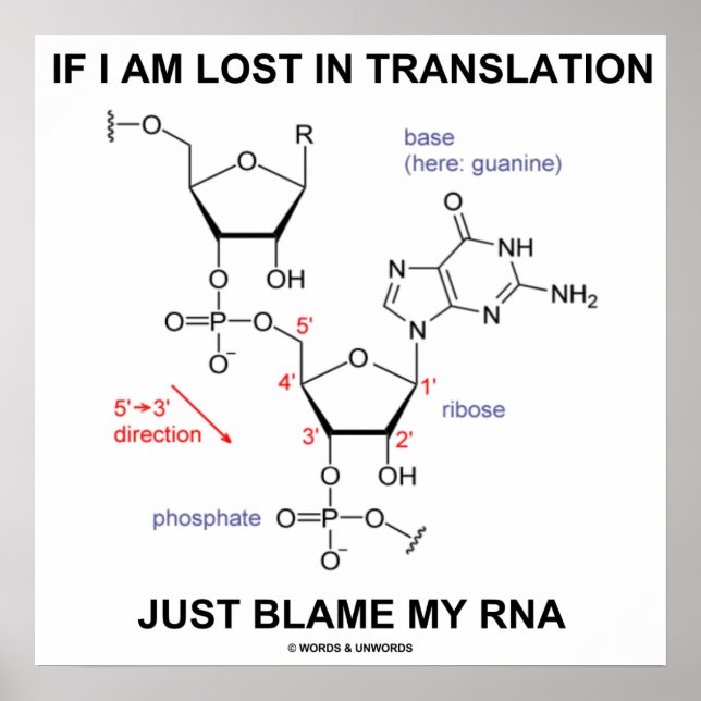 Póster Si Me Pierde La Traducción, Culpen A Mi RNA (Frente)