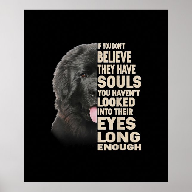 Póster Si no crees que tienen almas Terranova (Frente)