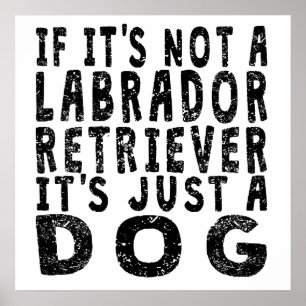 Póster Si no es labrador retriever