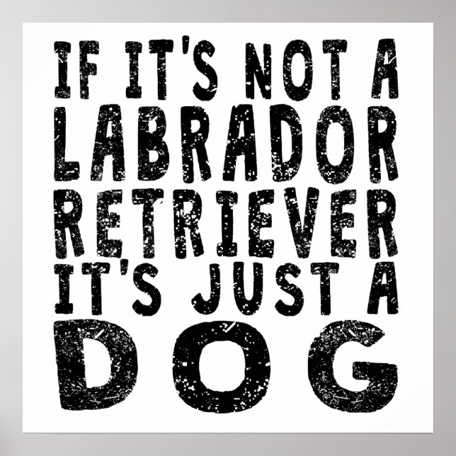 Póster Si no es un Labrador Recuperador (Frente)