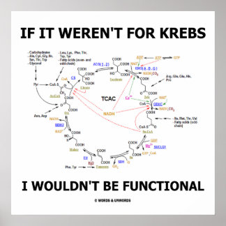 Póster Si no fuera por Krebs no sería funcional