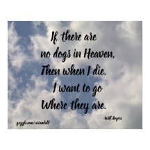 SI NO HAY PERROS DE VOLUNTAD, POSTER