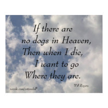 SI NO HAY PERROS DE VOLUNTAD, POSTER